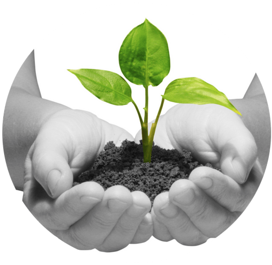 Taller de crecimiento personal