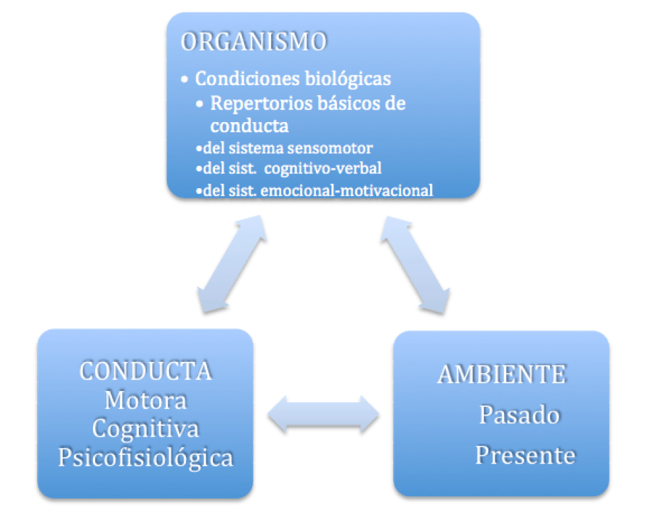 Modelo conductual-cognitivo-social