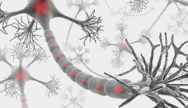 La Esclerosis Múltiple y sus efectos psicológicos