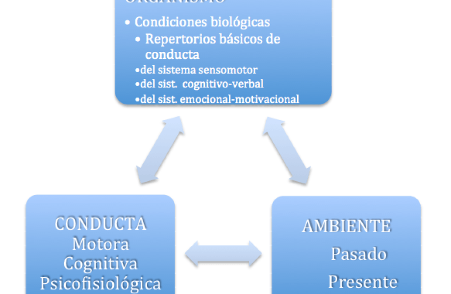 Modelo conductual-cognitivo-social